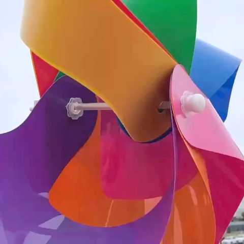 自由且追风 阳光正少年