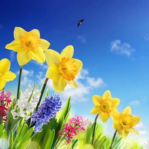 文化长廊绘画作品