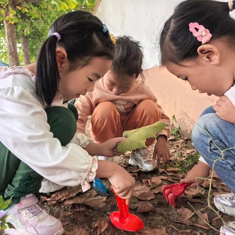 ［课程故事］蚯蚓奇遇记  ‍——李家埠幼儿园自然课程生成活动