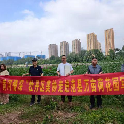 “黄河情深”菏泽市牡丹区美术家协会走进河南范县万亩荷花园写生