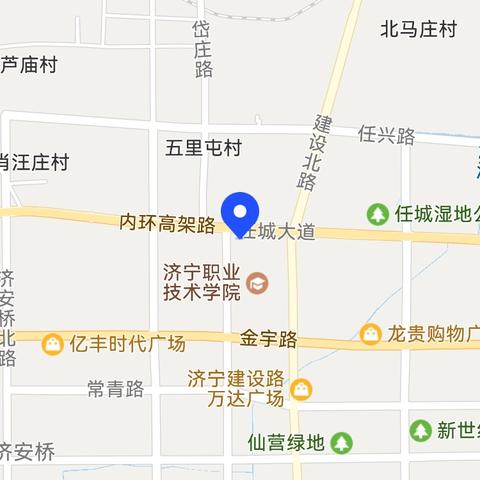 济宁市医养结合协会智力及发展障碍专业委员会成立大会暨任城区嘉华星雨自闭症康复中心国际工作站学术总结研讨会