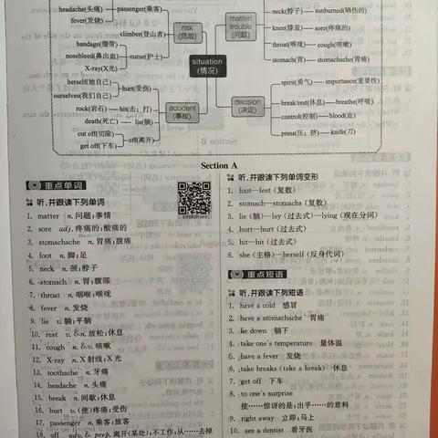 八下重点短语及单词思维导图