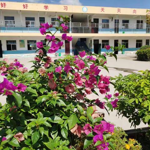 家校共育，携手同行——马营镇芦里小学家长进校园活动纪实