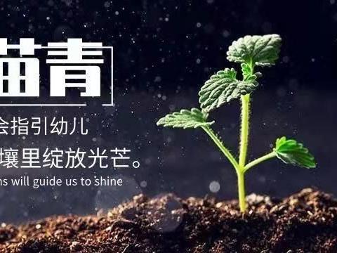 苗青幼儿园～美食“每”刻与你分享（2024.9.9～9.14）