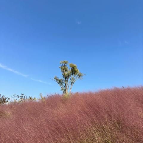 遇见秋天——拾秋