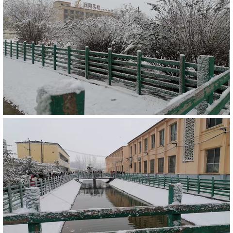 西平九中——“银装素裹雪满园，义务扫雪护安全”