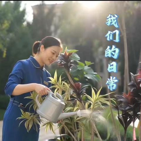 东南智汇城7/8号院 ‍物业服务9月第三周·周报