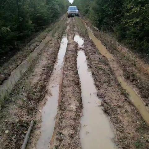 开展防火道路修复  筑牢森林防火基础