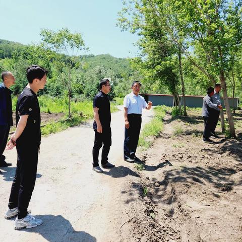 引进食用菌、药材种植技术发展林下经济