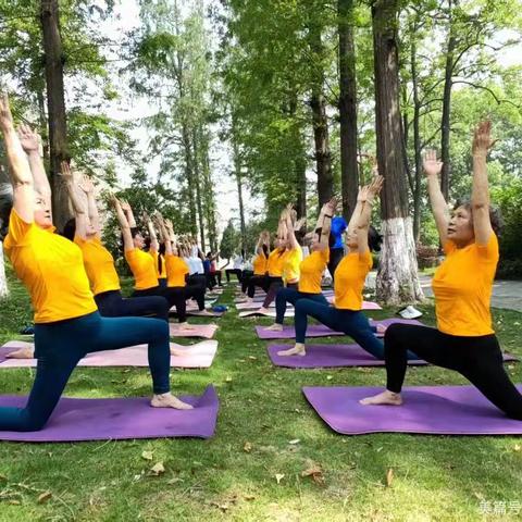 襄阳公园的瑜伽时光：市老年大学学员的活力课堂