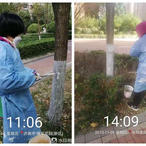 【全福街道名辉豪庭社区】城市管理进社区“树木涂白穿新衣 防冻防虫增颜值”