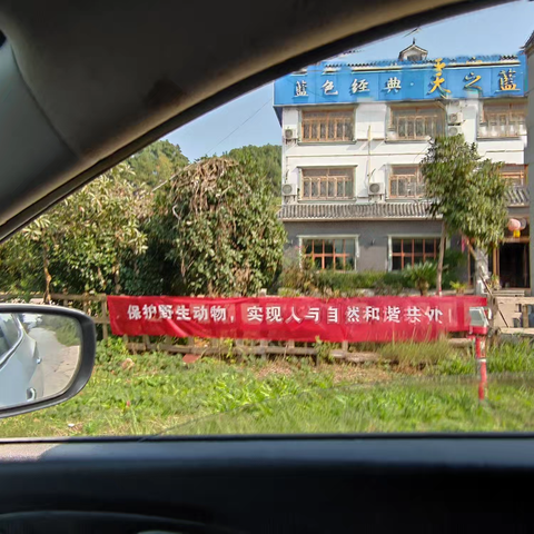 清网护鸟，人人有责