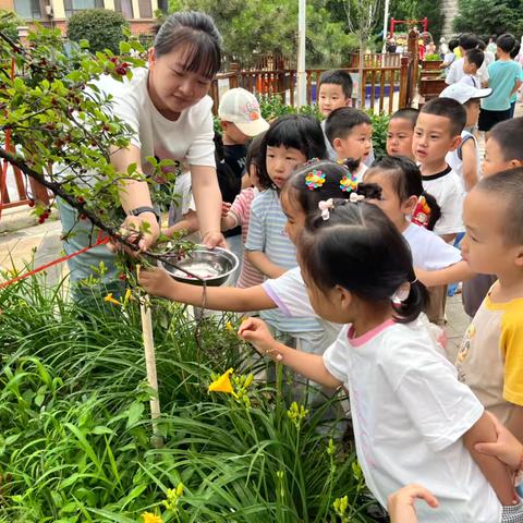 走进自然，快乐“童”行——皇姑区教育局第二幼儿园—小一班