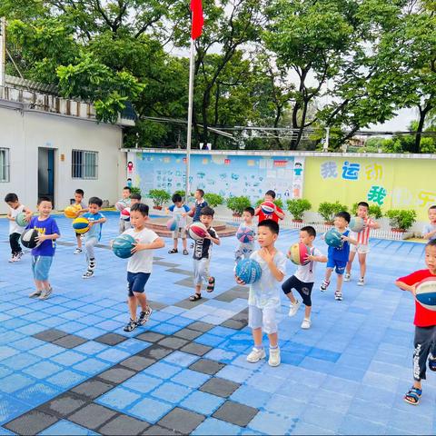 中大班篮球运动🏀