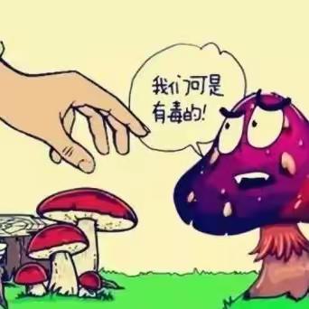 珍爱生命 、远离有毒食品—— 北丰小学预防食用高危食品和野生动植物安全知识宣传！