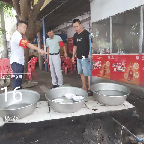 新龙镇组织开展人居环境卫生整治和清洁家园 “防蚊灭蚊”爱国卫生专项整治活动