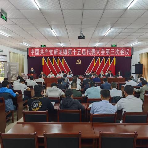 中国共产党新龙镇第十五届代表大会第三次会议胜利召开