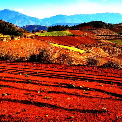 东川红土地