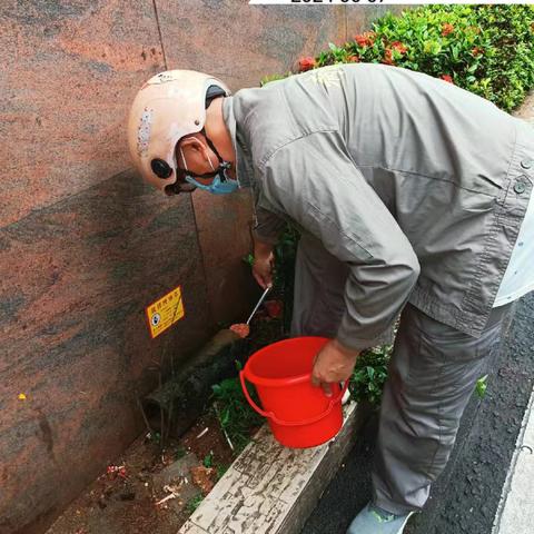 海府片区2024年6月7日病媒生物防制工作日志