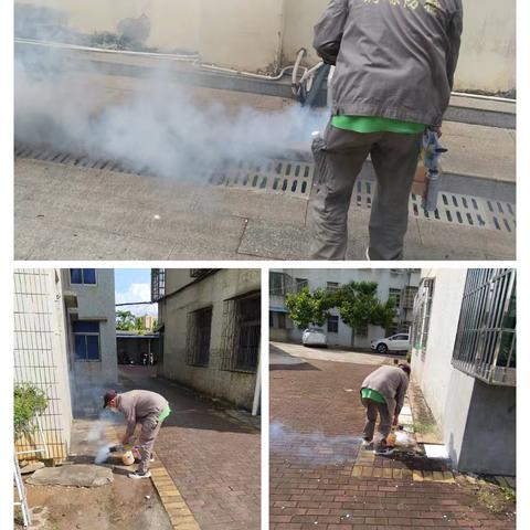 灵山镇中心学校预防基孔肯雅热/登革热专项消杀日志