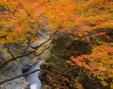 10月12日，本溪老边沟，大石湖一日游