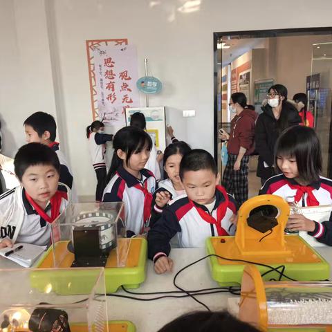 忠信镇新下小学河源市乡村创客小镇实践活动纪实