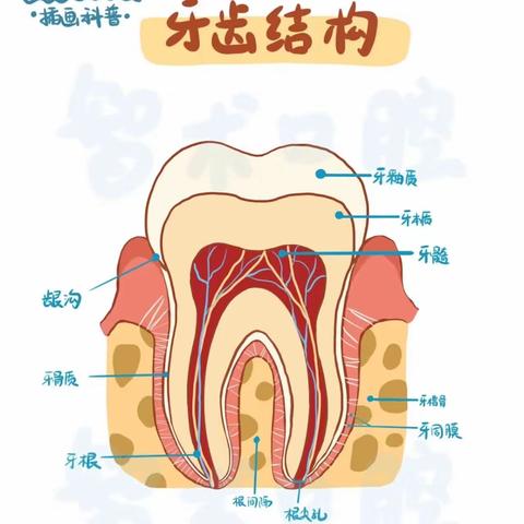 原来是你“牙”