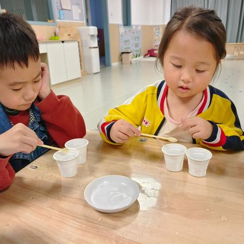 中四班科学小实验纪录