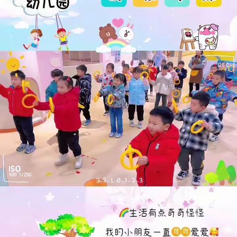 幼儿园的一周回顾