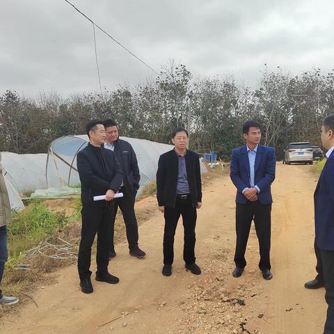 省住建厅到七坊镇开展“支持产业发展、助力乡村振兴”调研活动
