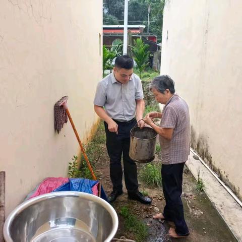 七坊镇：掀起爱国卫生运动热潮，守护健康家园
