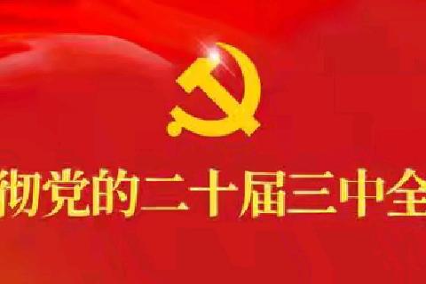 学习贯彻党的二十届三中全会精神｜洛宁县思源实验学校党支部深入开展第八个主题党日活动