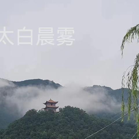 悠悠岁月的简篇