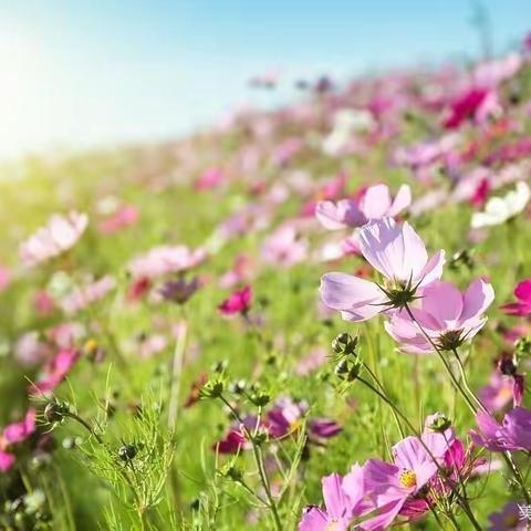 【福安小时代美术】 米妮班美育第一节课《春暖花开》