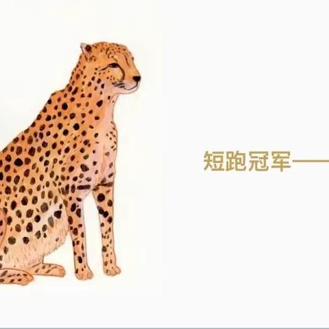 【福安小时代美术】 米妮班美育第三节课《丛林中的小花豹🐆》