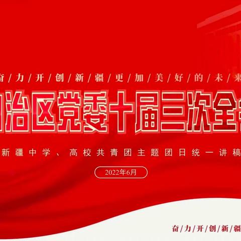 市二幼教育集团团支部开展“学习自治区党委十届三次全会精神”6月主题团日活动