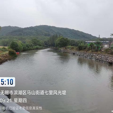 （2023921）无锡马山七里堤河试验区甲藻水华应急治理工作简报