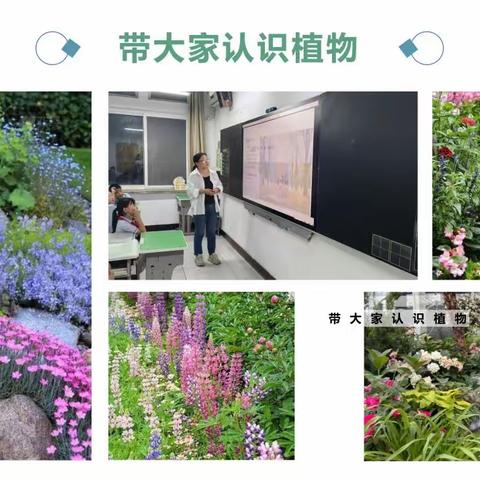 探索植物世界，共筑亲子绿色 ————郑中国际学校小学部304班9月家长课堂