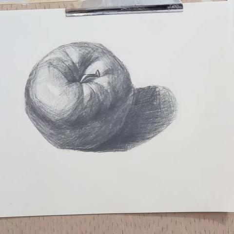 单体素描－－苹果🍎