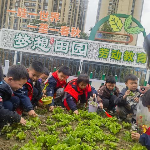 🌱播种希望，共赴春约 东原小学一年级1班植树节活动