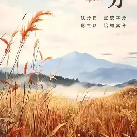 2309班卷学习小组周末作业总结