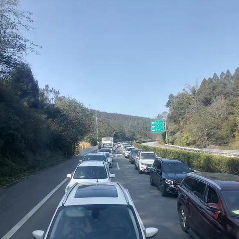 春节期间出行难