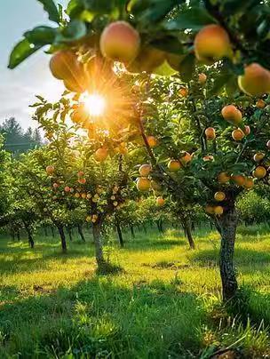 致那场赴不了的十年之约