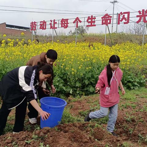 人勤春来早，奋斗正当时          ——微光班忙种菜