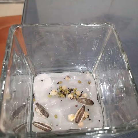 路桥北大附中飞龙湖小学一（4）班    杨谨瑄