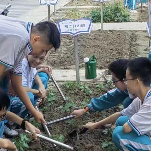 海南中学三亚学校“诚美农耕”劳动实践活动纪实