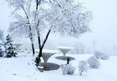 双减时代 赏雪快乐——蒲东街道实验小学四三班