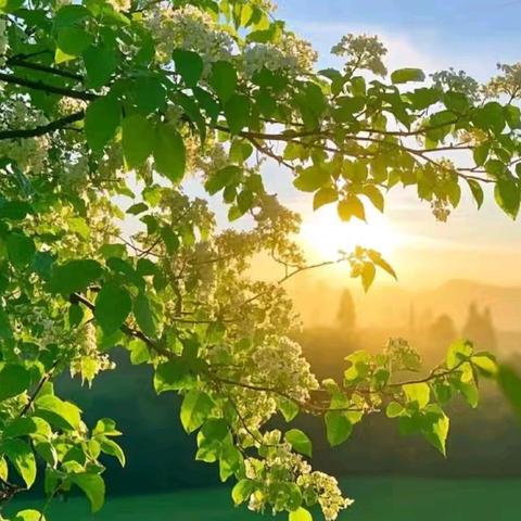 招生简章 刘存惠彩墨艺术工作室《2025第一期彩墨艺术创作体验班》