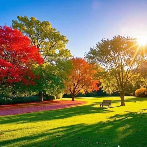 招生简章 2025刘存惠《空中课堂》新课程第二期培训