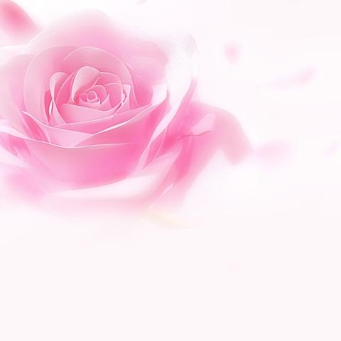 单元作文：《我的妈妈》